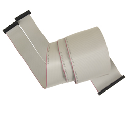 (2) 26-Pin IDC to 50-Pin IDC Ribbon Cable, 40
